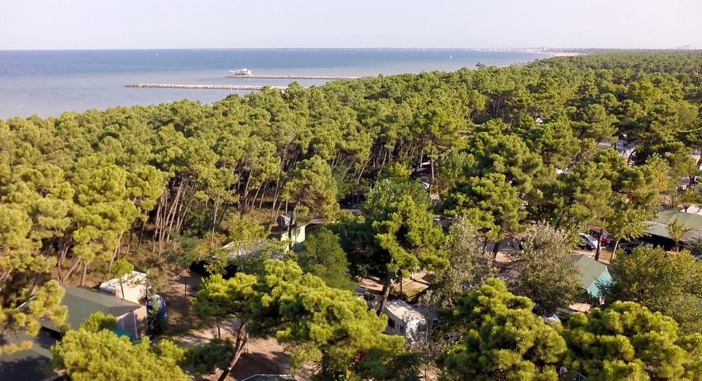 Romea Family Camping คาซาลบอร์เซตติ ภายนอก รูปภาพ